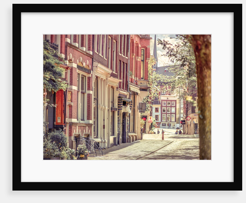 City street, Amsterdam by Assaf Frank